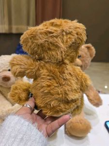 Teddy Bear Trio