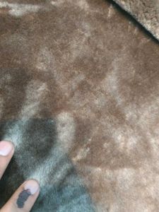 Stylish Faux Fur Lined Coat.no bargain