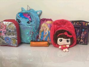 Combo Of Bags
