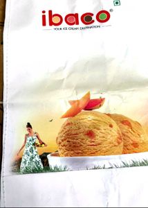 10 Thick Paper Bags