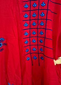 Red Kurta with Blue Printed palazzo