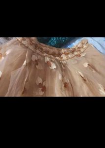 Designer Embroidered Lehenga Choli