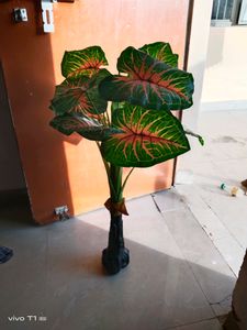 Artificial Plant