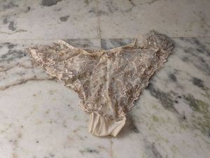 Lace Trimmed Briefs