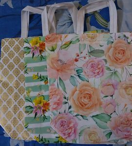 Reusable Heavy Duty Waterproof Shopping/Gift Bags (Pack Of 1)