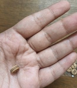Wooden Finish Acrylic Beads. FRIEND Beads.