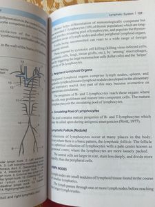 BD Chaurasia's Handbook of General Anatomy
