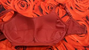 Comfortable Maroon Bra