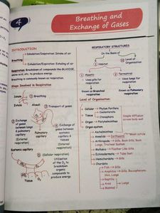 Zoology Med Easy by Samapti Sinha Mahapatra