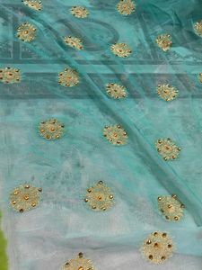 Ethnic Wear Saree Double Shade With Peacock Border