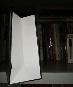 CHANEL Authentic Paper Bag