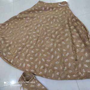 Beautiful Beige Lehenga