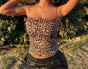 Leopard Print Crop Top