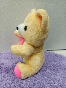 Adorable Plush Teddy Bear Toy