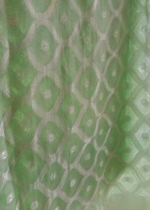 Mint Green Diamond Pattern Sari✨