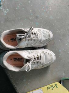 SPLESH Women's Stylish White Chunky Sneakers