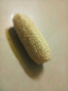 Natural Loofah Exfoliator(pack of 5 )