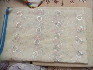 Embroidered Cream Saree with Blue Border