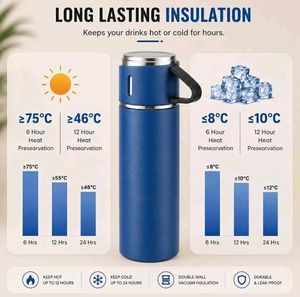 Vacuum Flask Set with 2 Cups (RH)
