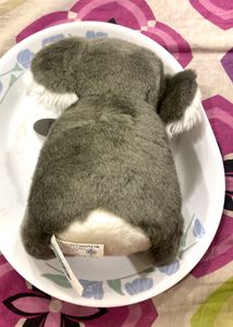 Cute Koala Plush Toy