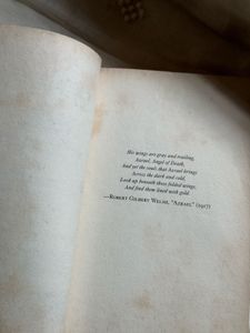 Sidney Sheldon's Angel of the Dark