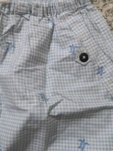 Light Blue Gingham Turtle Shorts