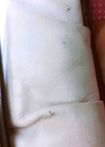 White Leader Purse