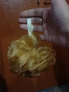 Combo Of Twin Loofaahs