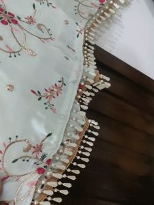 Embroidered Light Green Dress