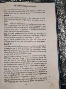 Teach Yourself Karate Book
