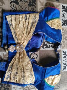 Elegant Lace Saree with Embellished Border