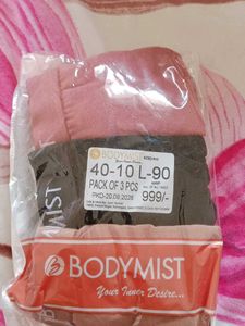 Bodymist Briefs(Large)