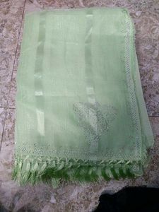 Elegant Pastel Green Embellished Saree