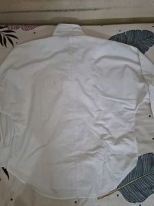 Classic White Collared Shirt