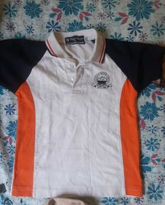 combo of shirt/tshirt