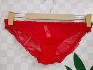 1300)Red Sheer Panties