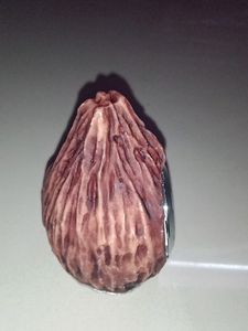 TABLE TOP PAPERWEIGHT VERYNICE COCONUT SHAPE CLOCK