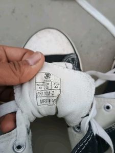 Converse Chuck Taylor Dupes