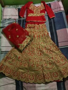 Elegant Red &amp; Gold Embroidered Lehenga Choli