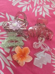 Assorted Hair Claw Clips Set