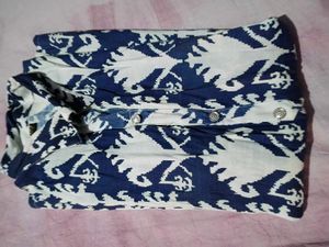 Blue &amp; White Ikat Print short Kurta