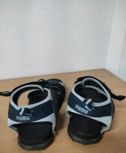 Puma Flotters
