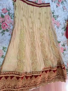 Party/Wedding Wear Lehenga
