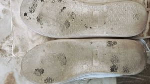 Asian Casuals White Sneakers