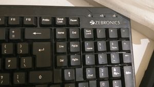 Gadgets > Computers & Laptops | Zebronics Keyboard | Freeup
