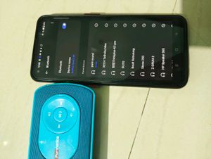 portronics pure sound speaker