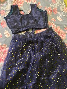Navy Blue Sequin Lehenga Choli
