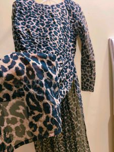 Animal Print Long Sleeve Dress