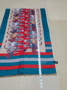 Hermes Paris Scarf