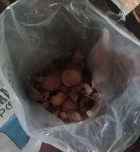raw material coconut shell